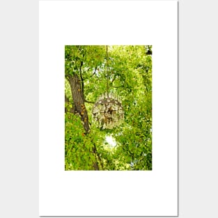 Chandelier Tree Study 1 Posters and Art